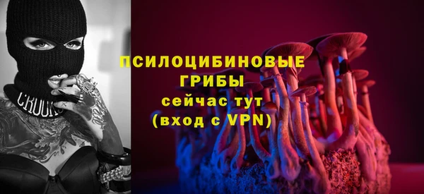 2c-b Ладушкин