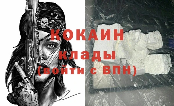ALPHA PVP Ельня