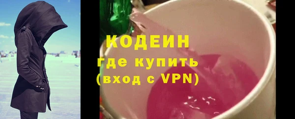 индика Верея